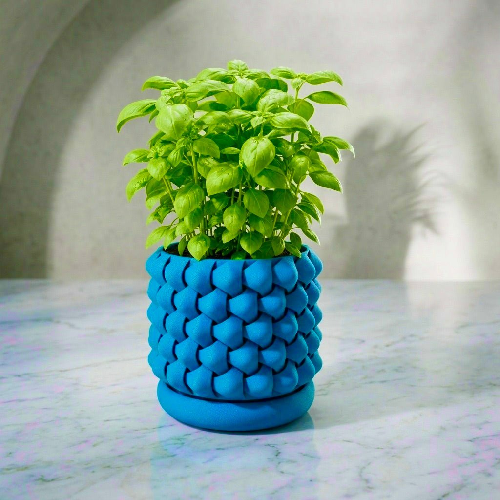 3D Printed GeoPetal Planter: Modern Plant Decor with Saucer - Pashmation