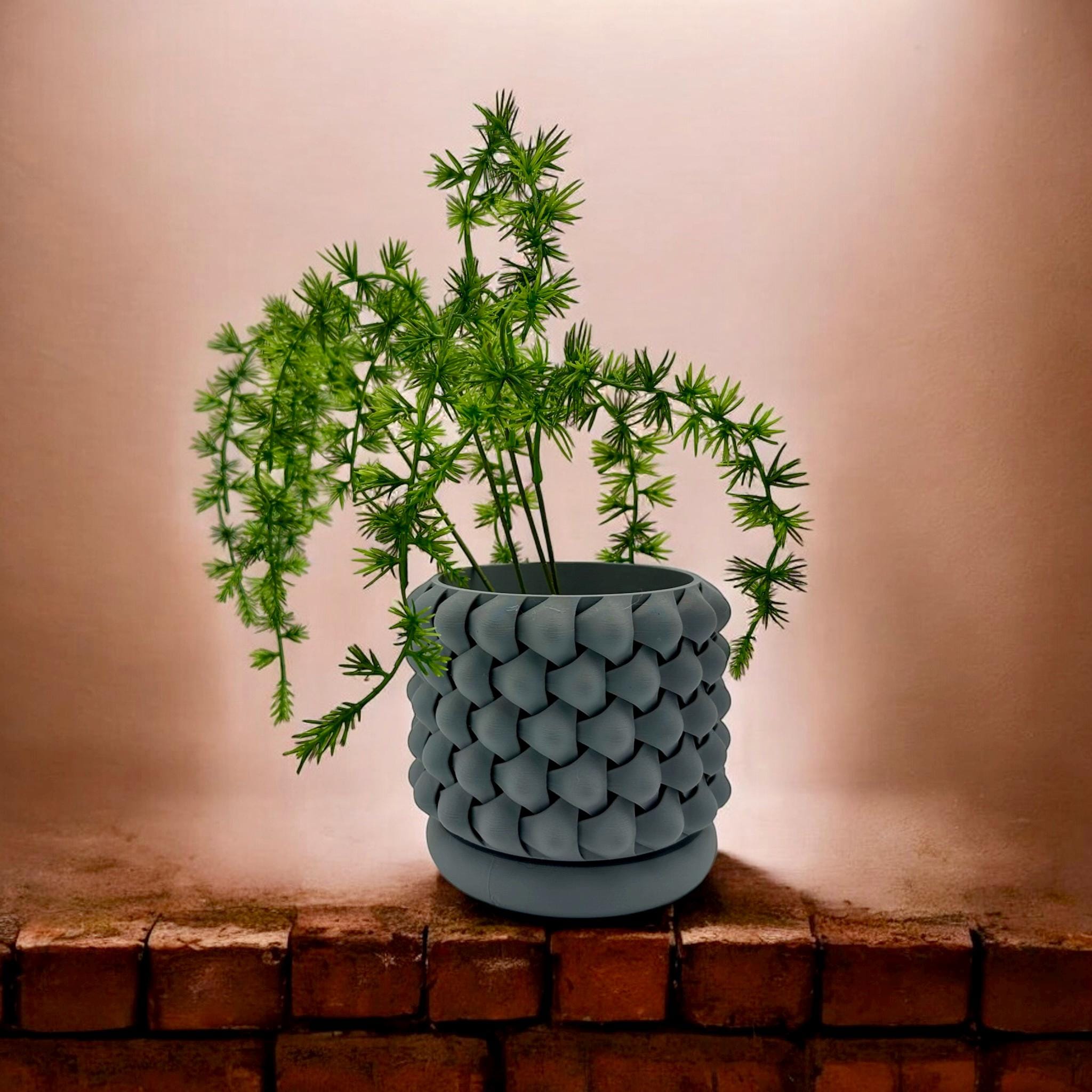 3D Printed GeoPetal Planter: Modern Plant Decor with Saucer - Pashmation