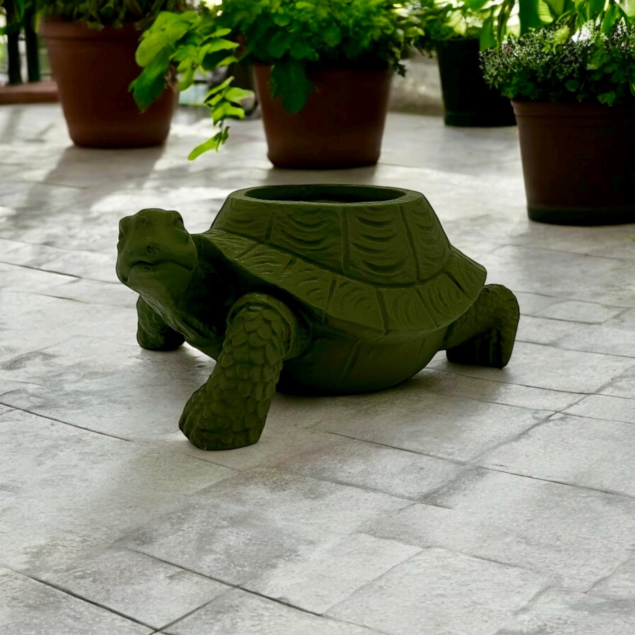 Dark green Turtle Planter with succulents – figural turtle planter with drainage