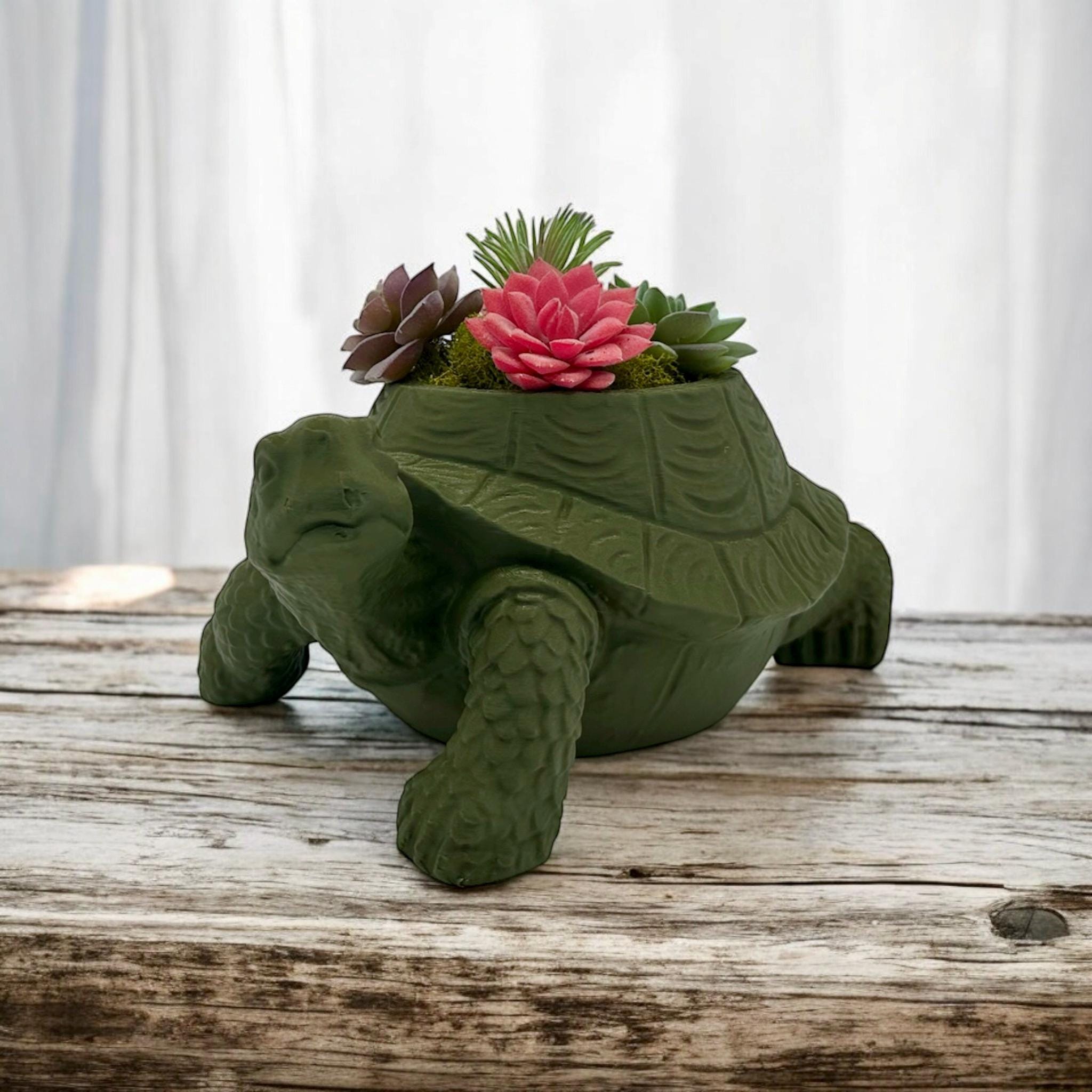 Dark green Turtle Planter with succulents – figural turtle planter with drainage