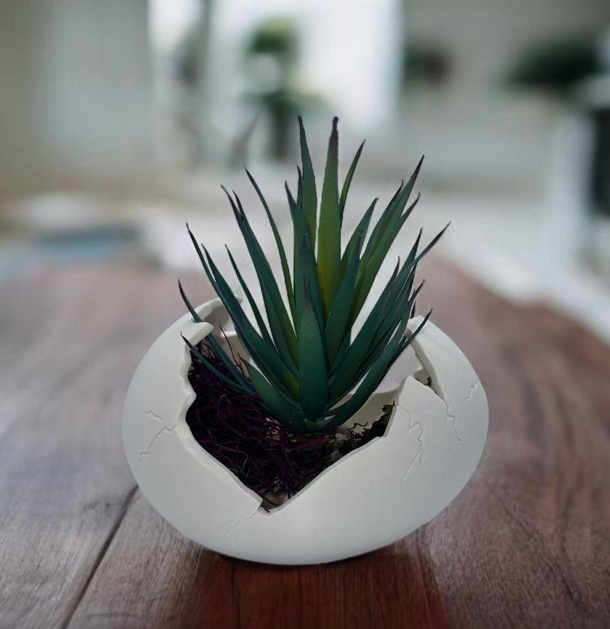Eggshell Planter in multiple colors – cracked egg sculptural succulent pot