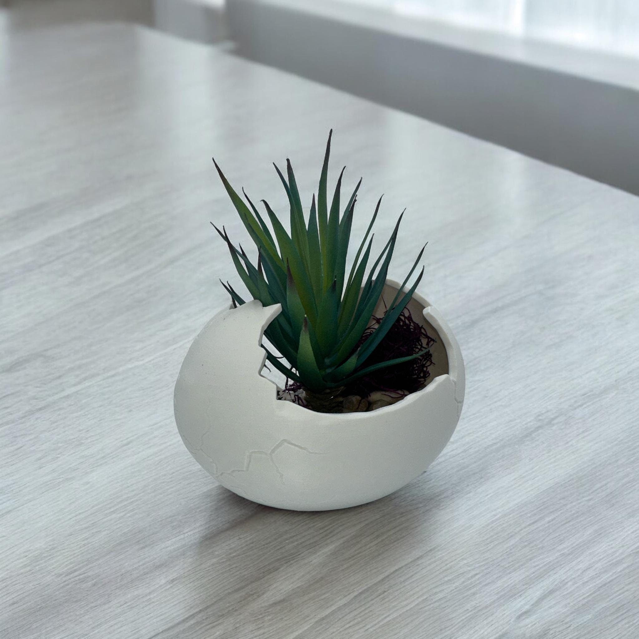 Eggshell Planter in multiple colors – cracked egg sculptural succulent pot