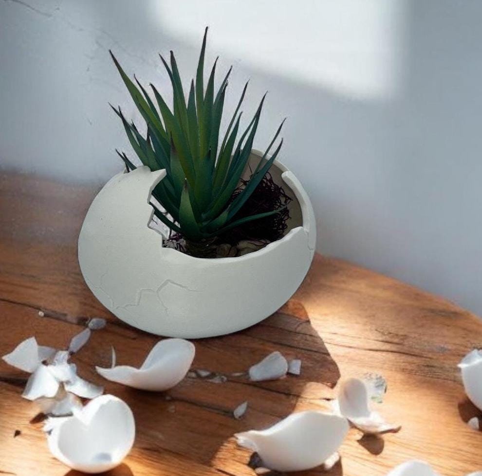 Eggshell Planter in multiple colors – cracked egg sculptural succulent pot