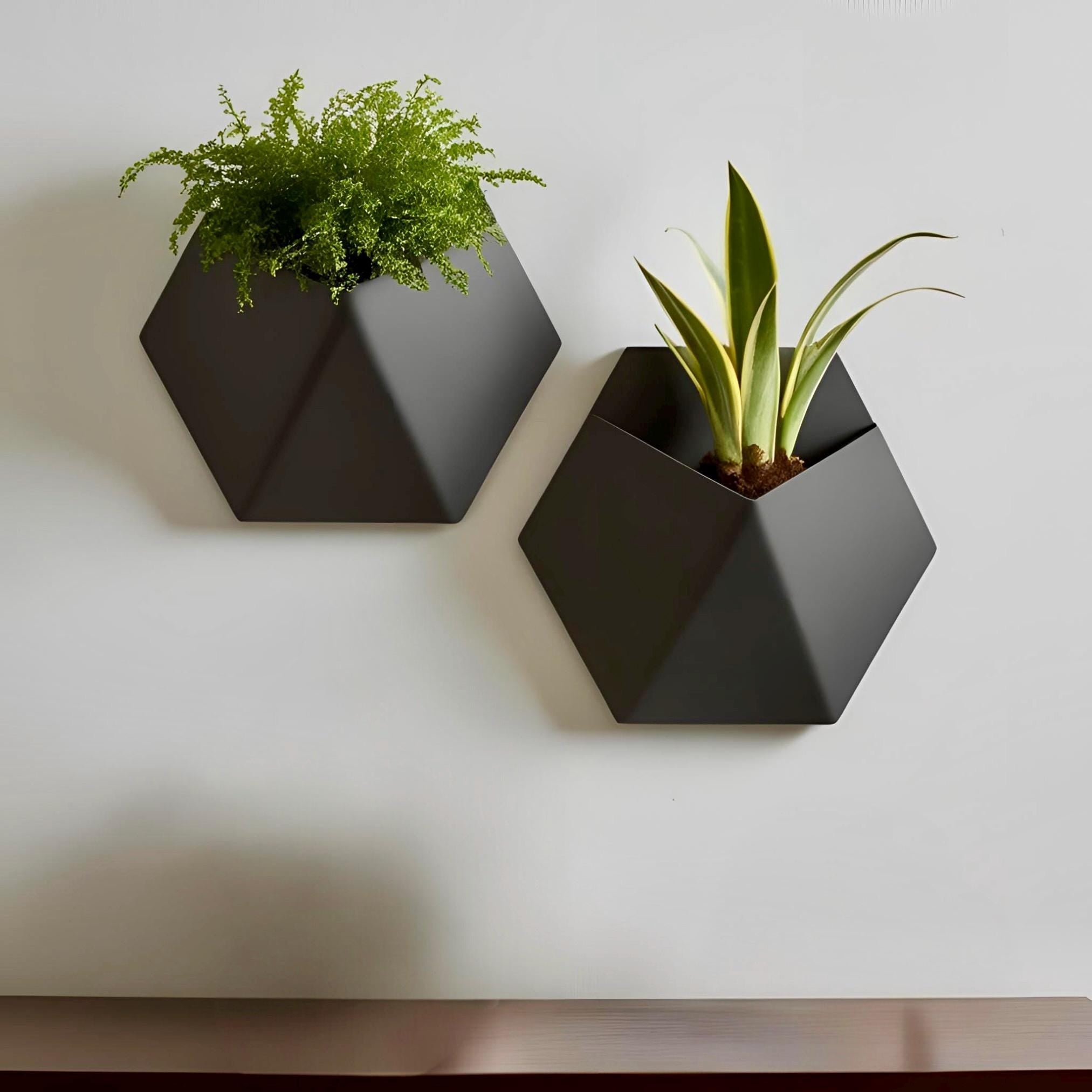 Black Geometric Wall Planters grouped on wall – hexagonal prism modern decor