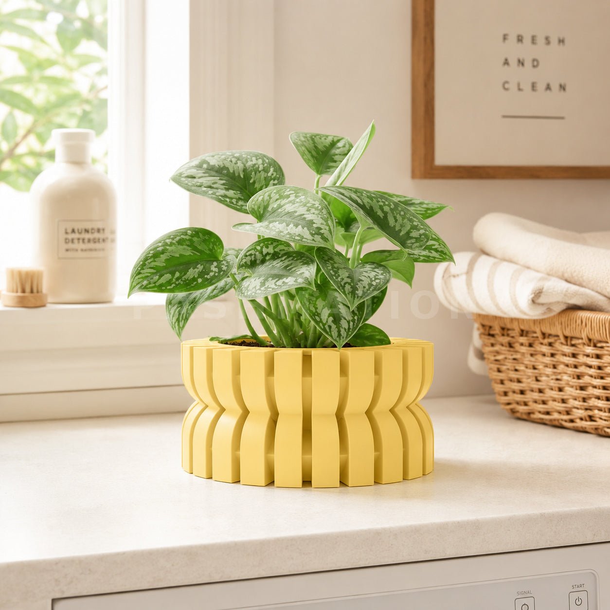 Modern Planter with Saucer | Griva by Pashmation
