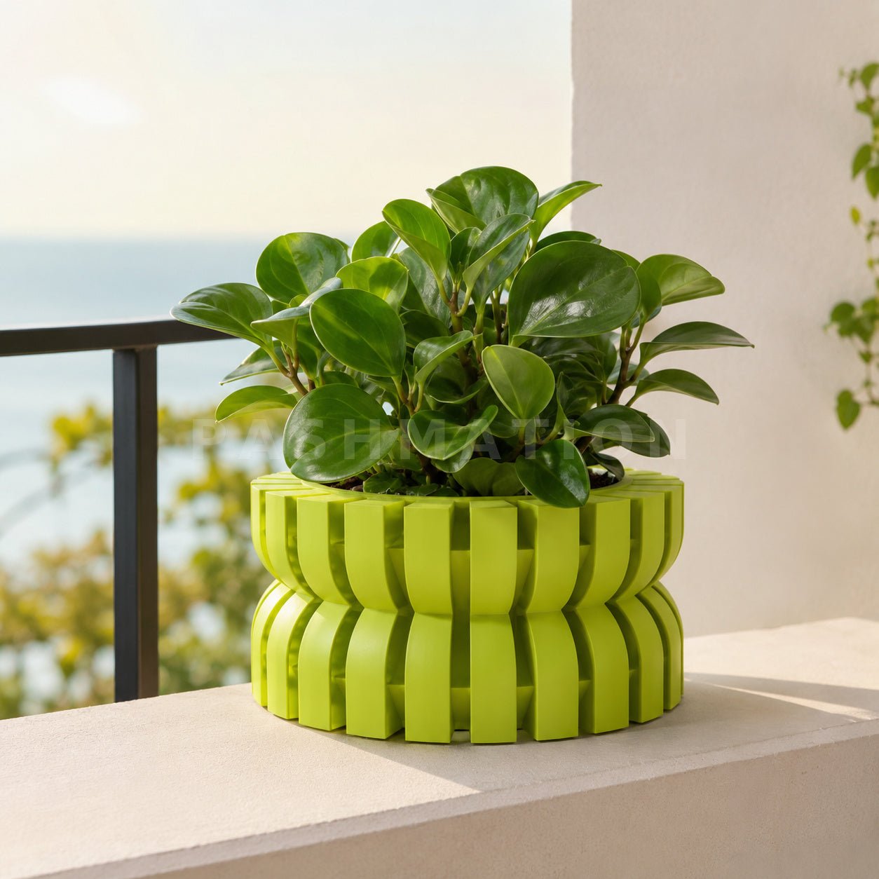 Modern Planter with Saucer | Griva by Pashmation