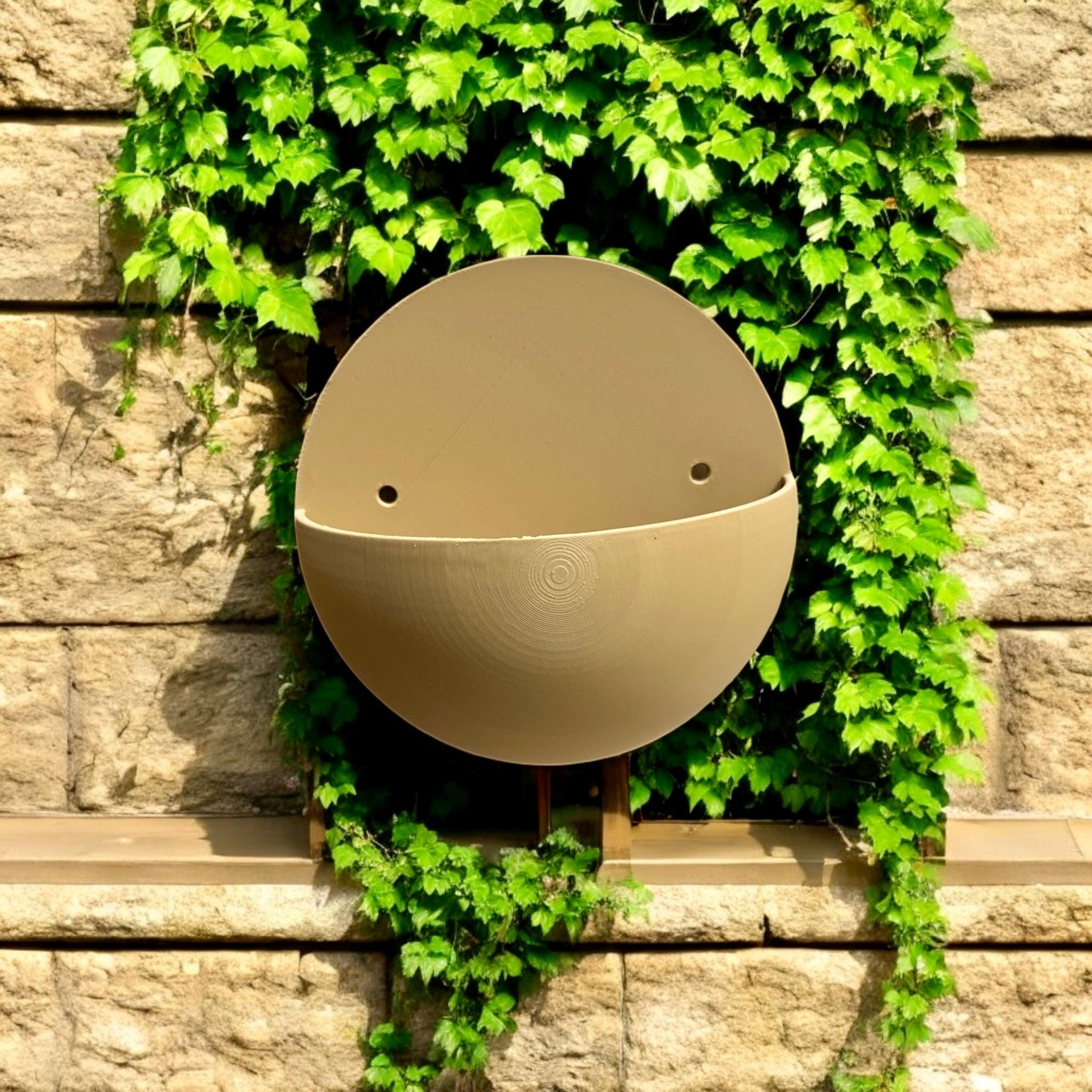 Modern Wall Planter: 3D Printed PLA Semi - Sphere - HaloPod Design - PashmationIndoor Planters