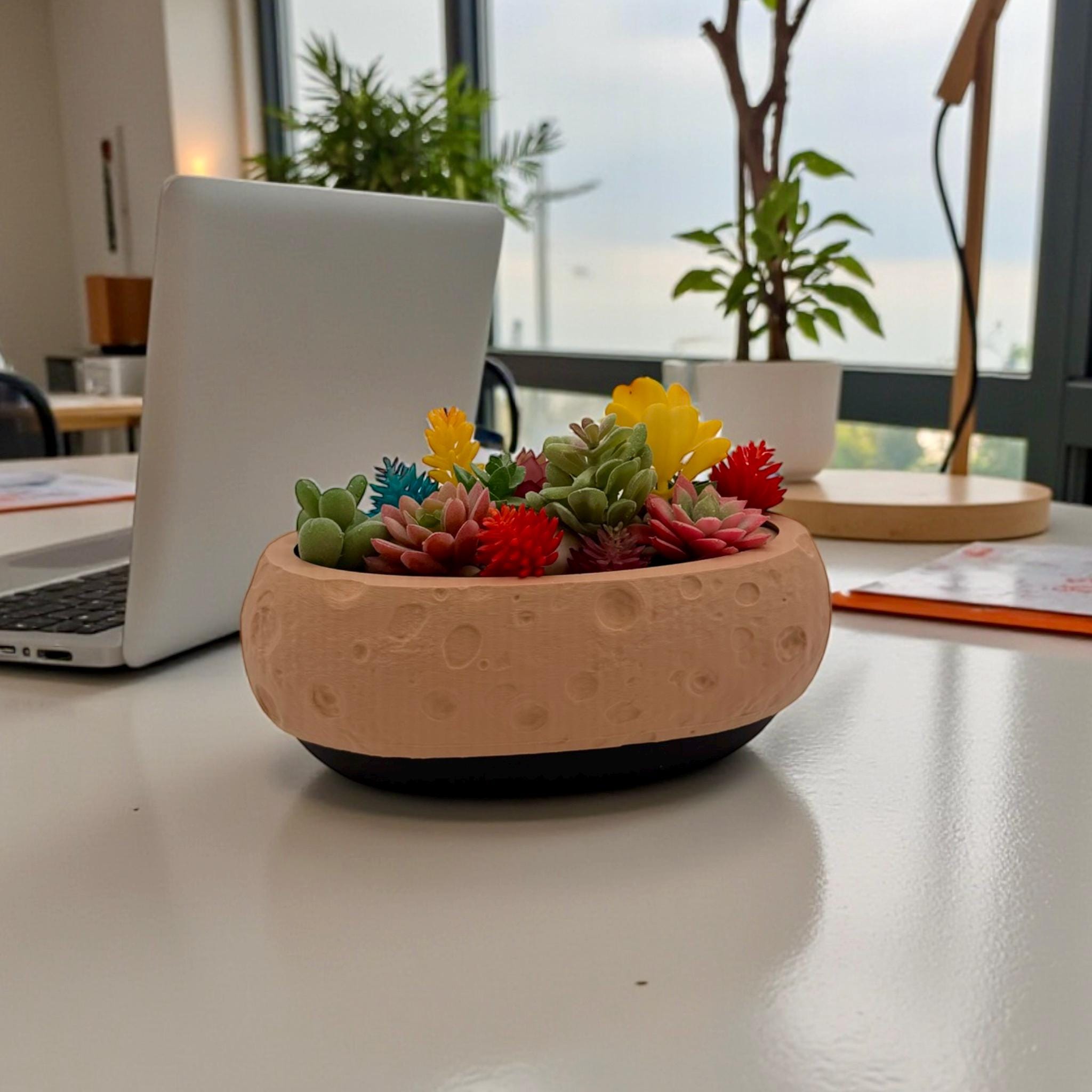 Moon Terrain Modern Planter 10in Wide Desktop Succulent Bowl Lunar Decor Indoor Pot Office Gift - Pashmation