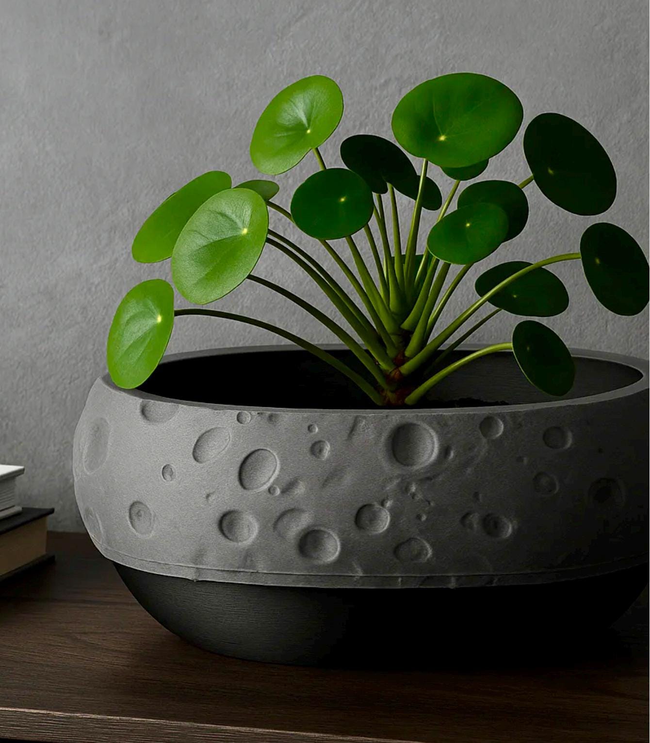 Moon Terrain Modern Planter 10in Wide Desktop Succulent Bowl Lunar Decor Indoor Pot Office Gift - Pashmation