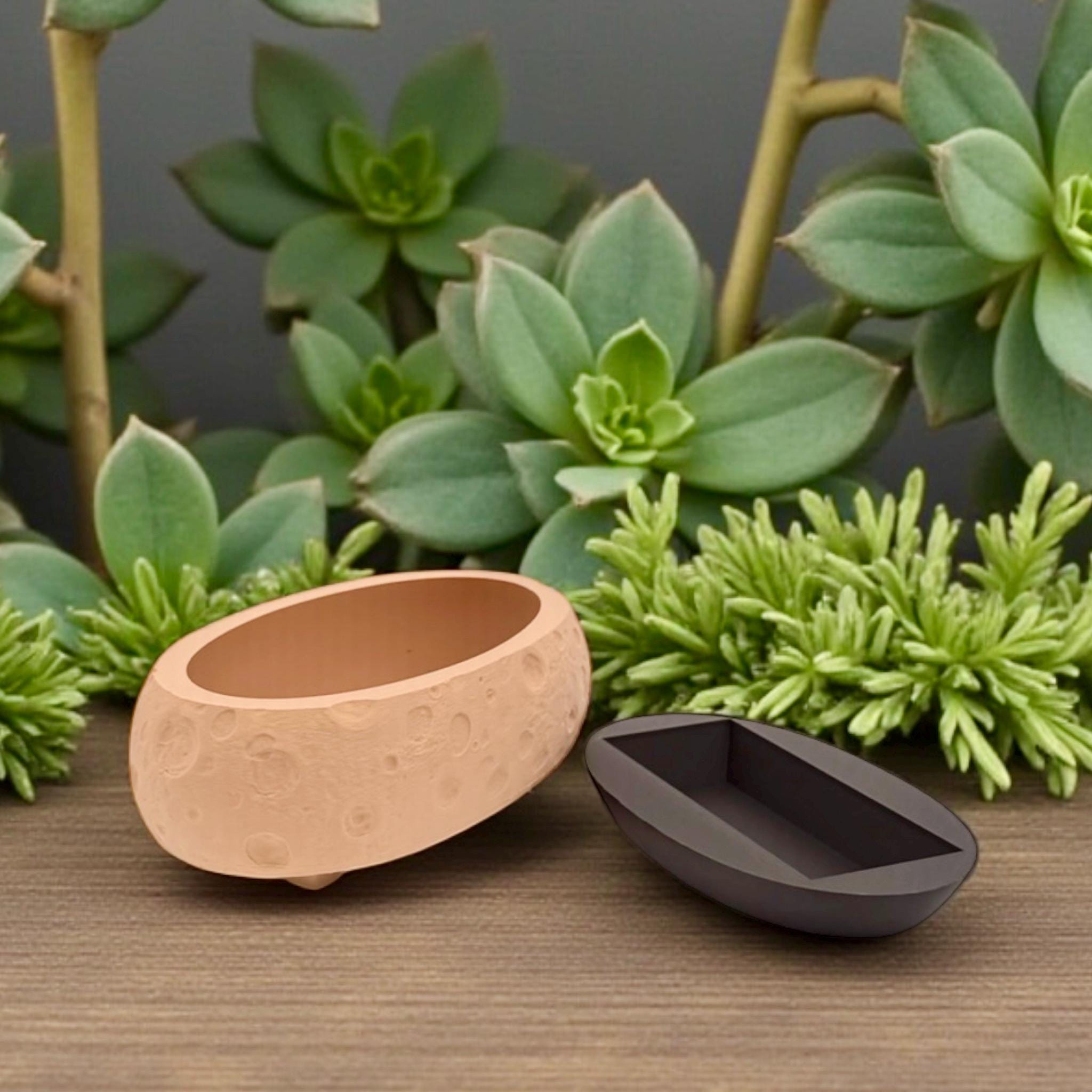 Moon Terrain Modern Planter 10in Wide Desktop Succulent Bowl Lunar Decor Indoor Pot Office Gift - Pashmation