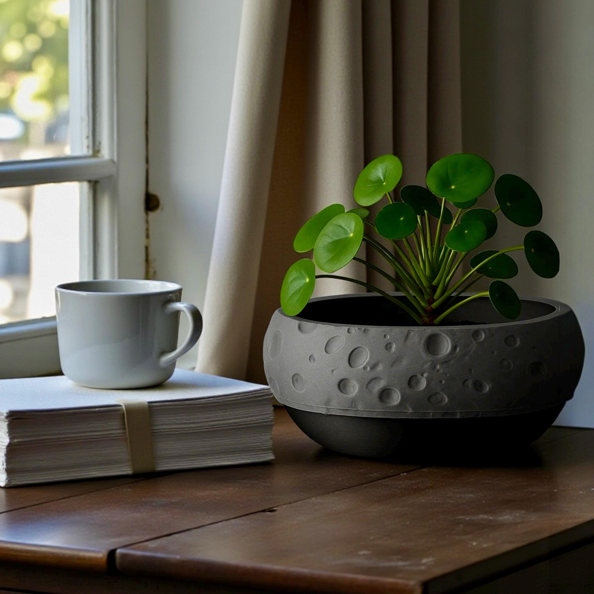 Moon Terrain Modern Planter 10in Wide Desktop Succulent Bowl Lunar Decor Indoor Pot Office Gift - Pashmation