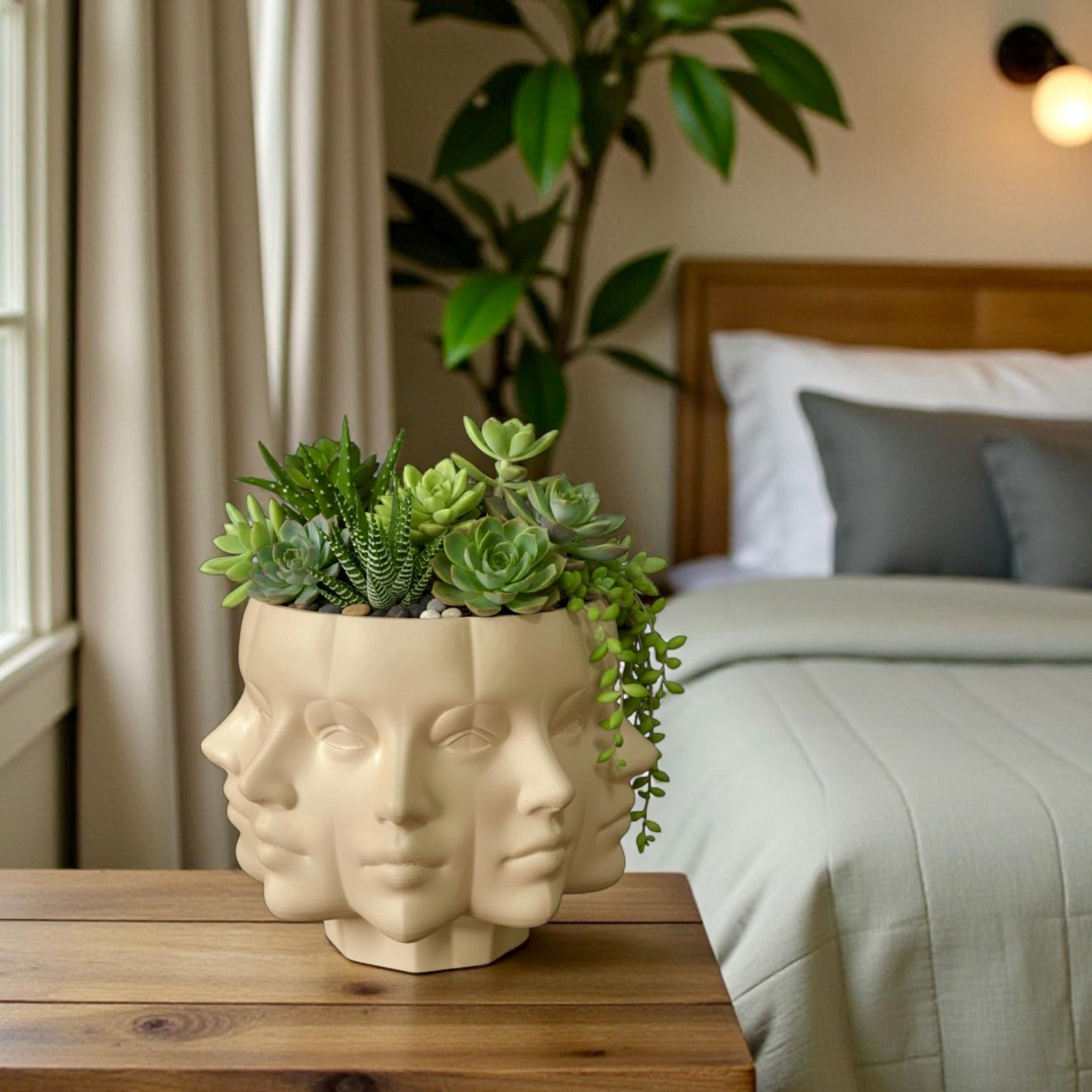 Cream Multi-Face Planter styled in modern interior with succulent