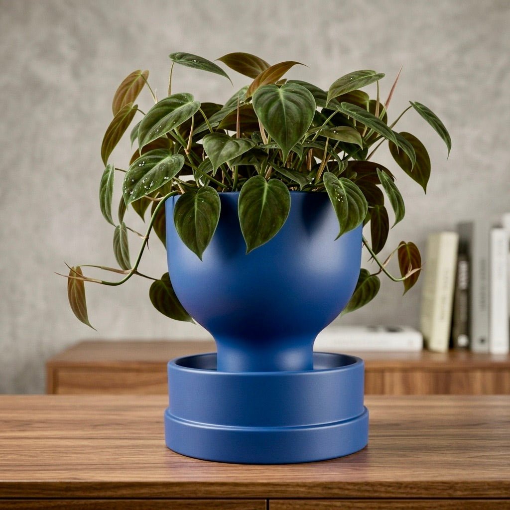 Blue self-watering planter with modern reservoir design by Pashmation