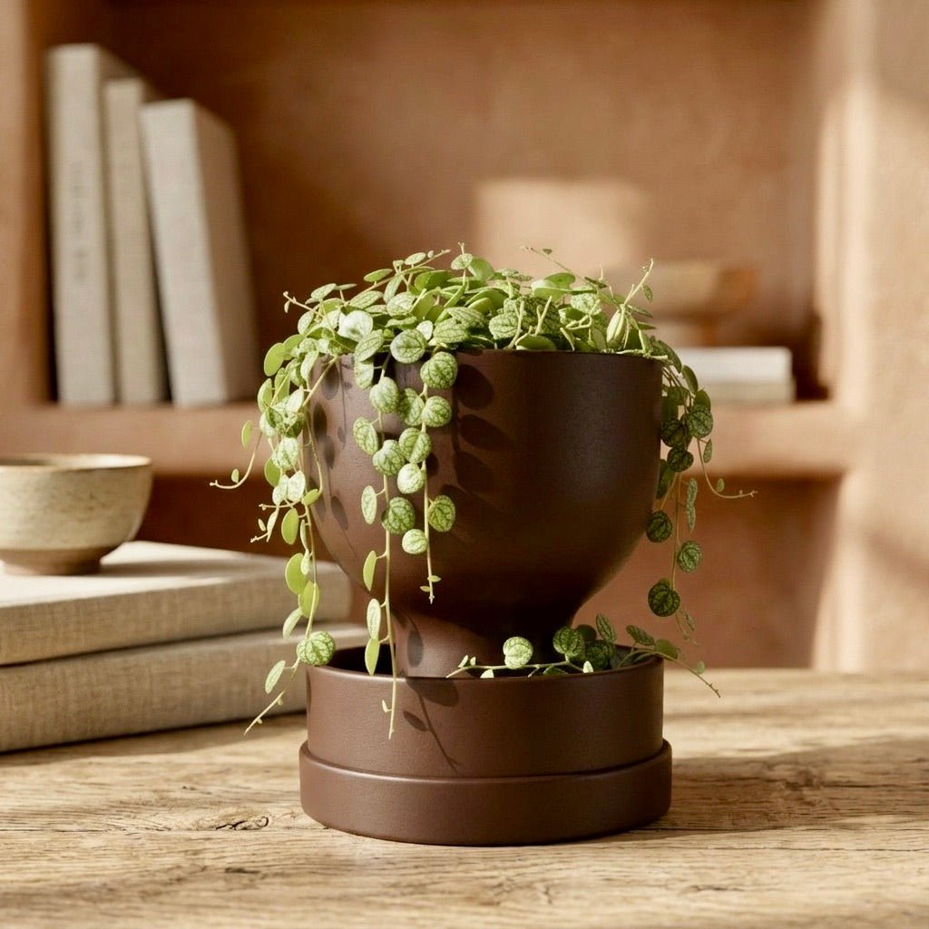 Black self-watering planter with modern reservoir design by Pashmation