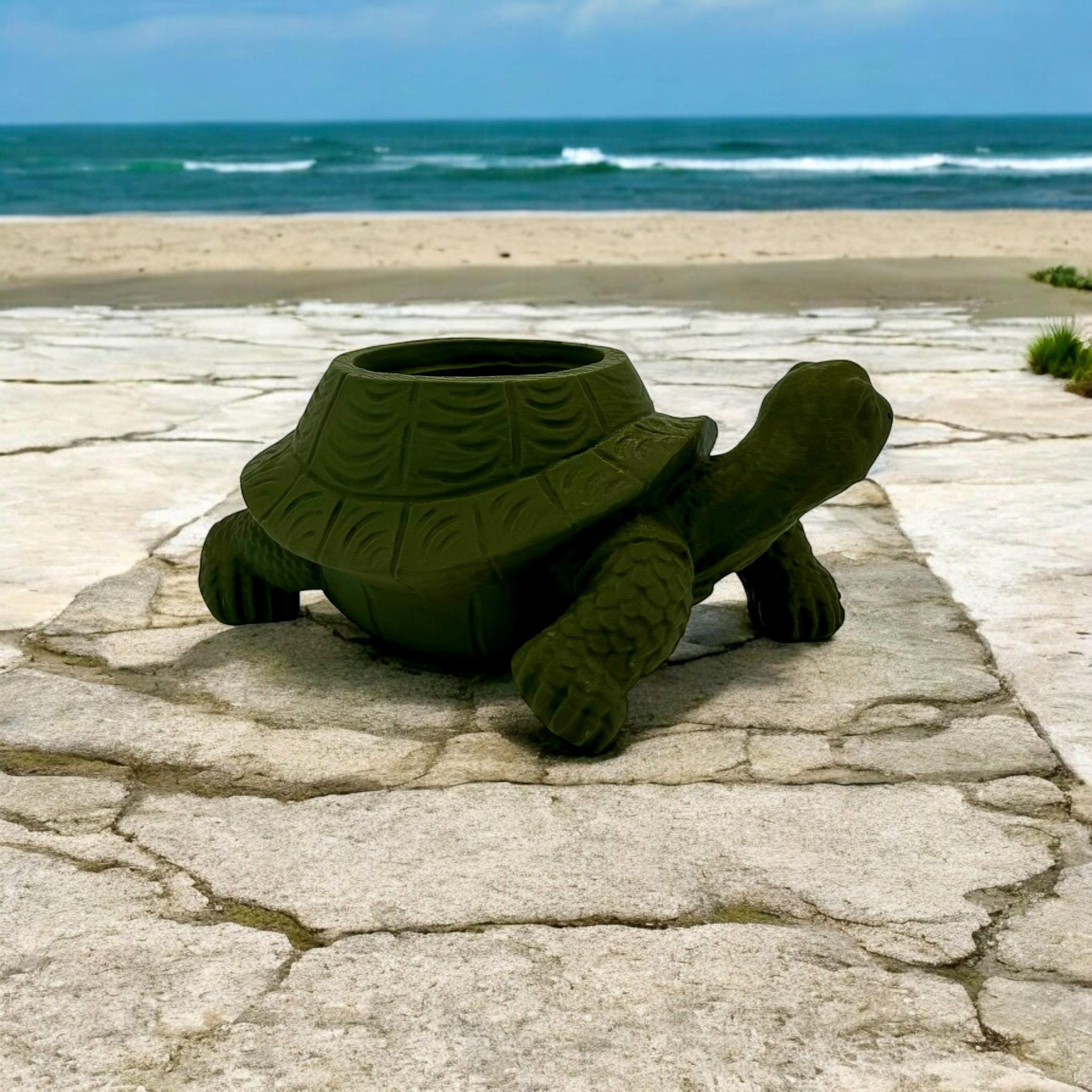 Dark green Turtle Planter with succulents – figural turtle planter with drainage