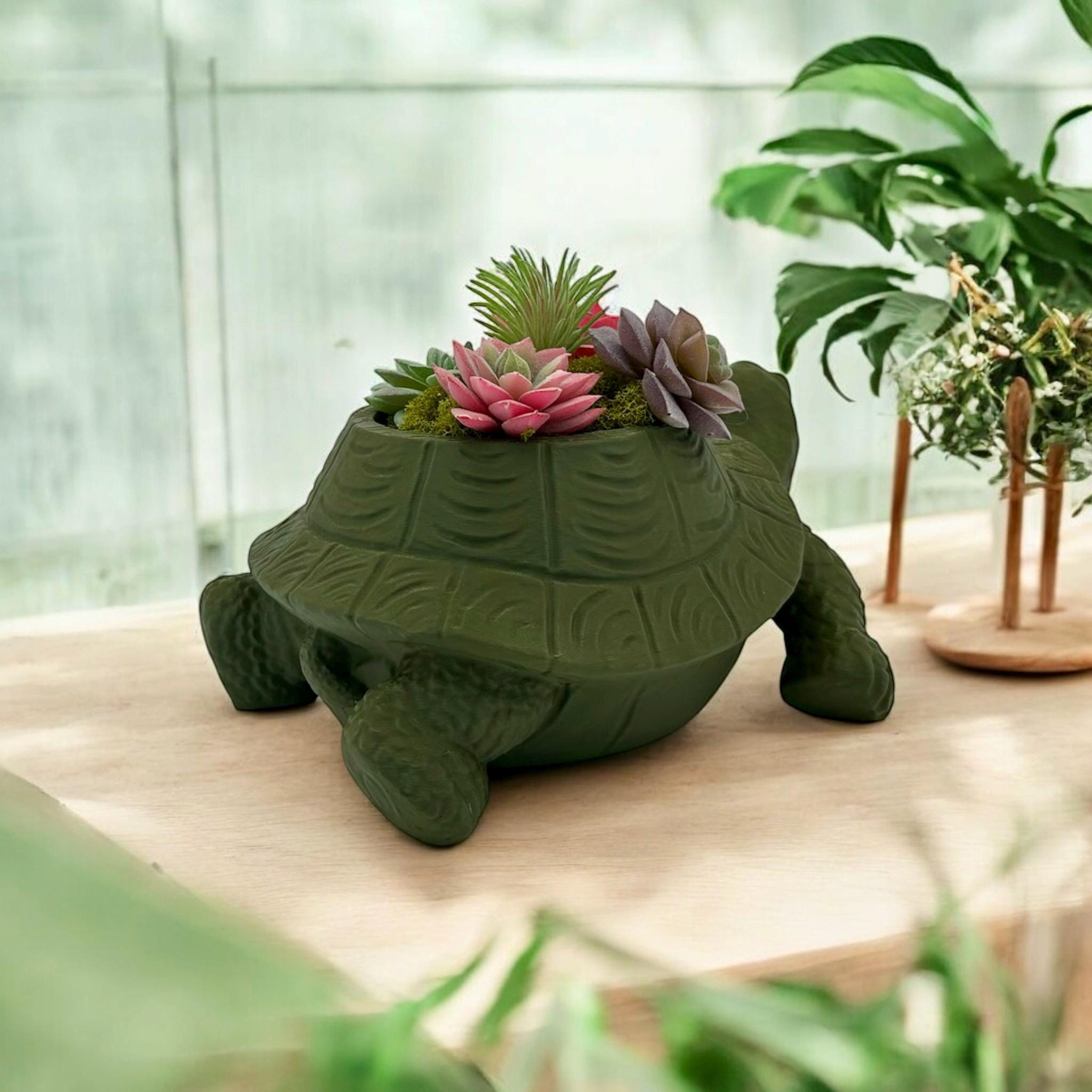 Dark green Turtle Planter with succulents – figural turtle planter with drainage