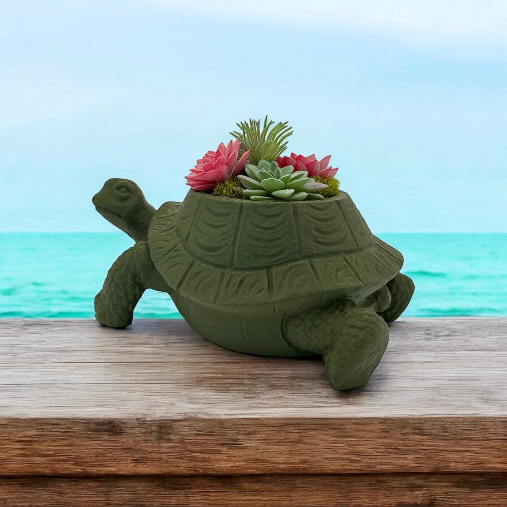 Dark green Turtle Planter with succulents – figural turtle planter with drainage