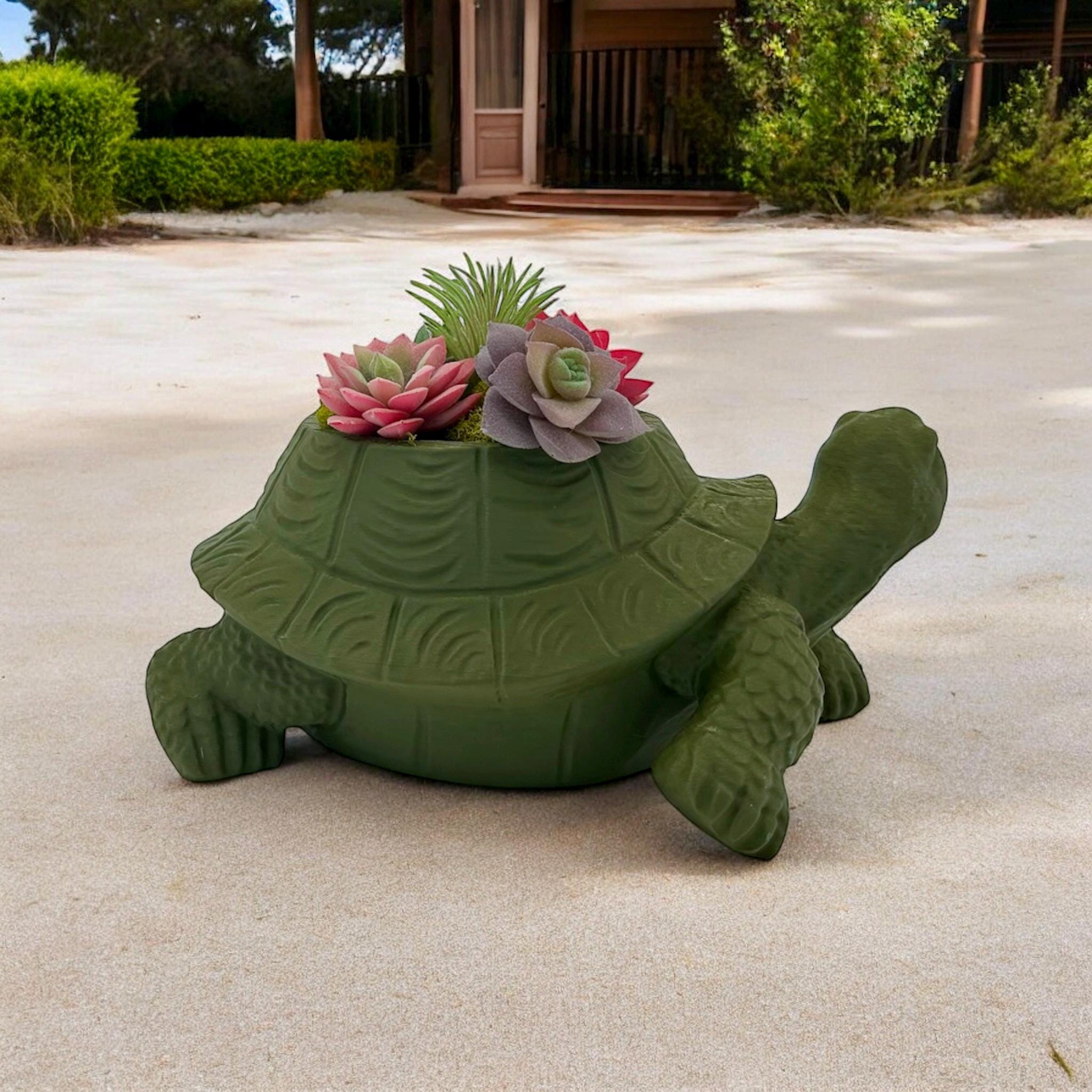 Dark green Turtle Planter with succulents – figural turtle planter with drainage