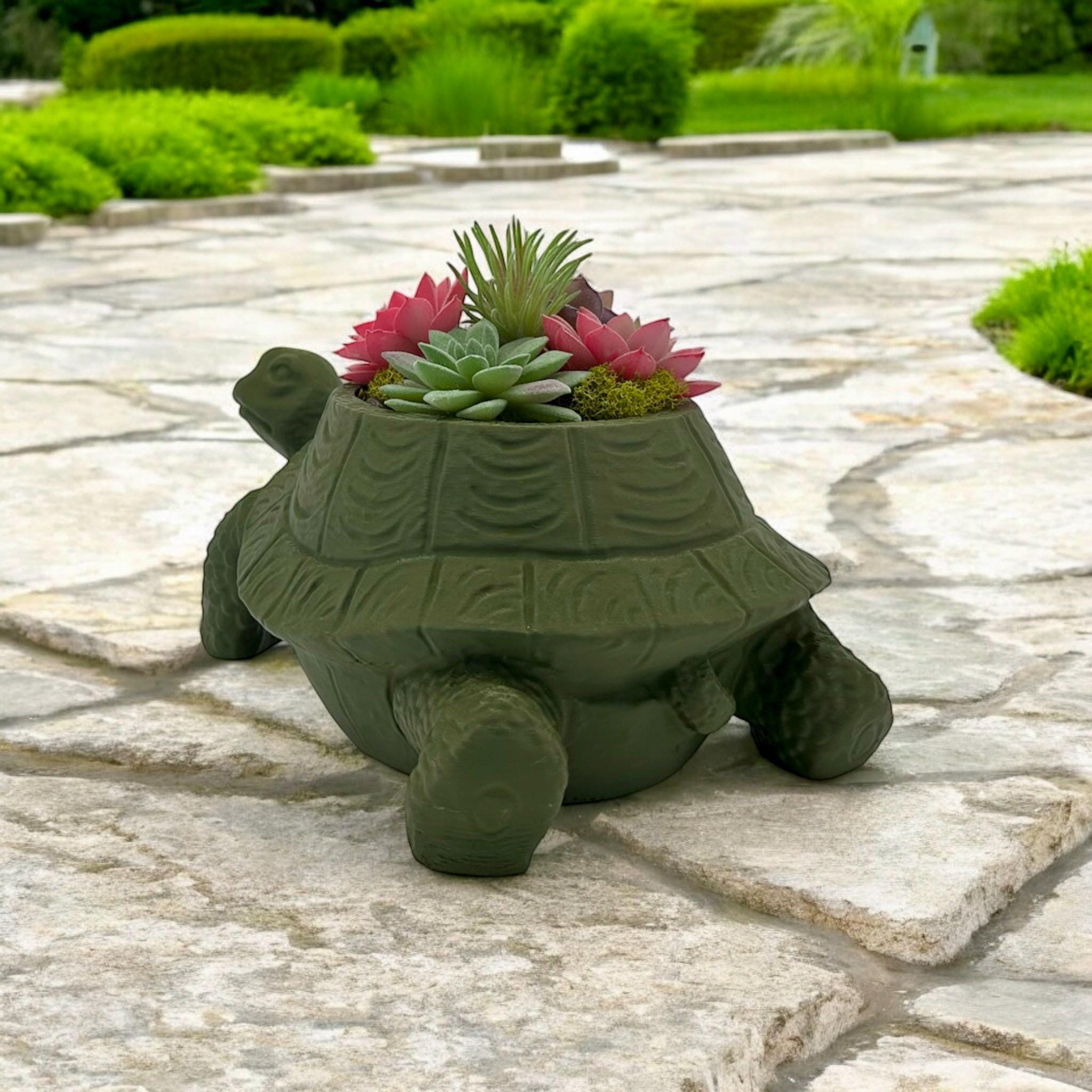 Dark green Turtle Planter with succulents – figural turtle planter with drainage