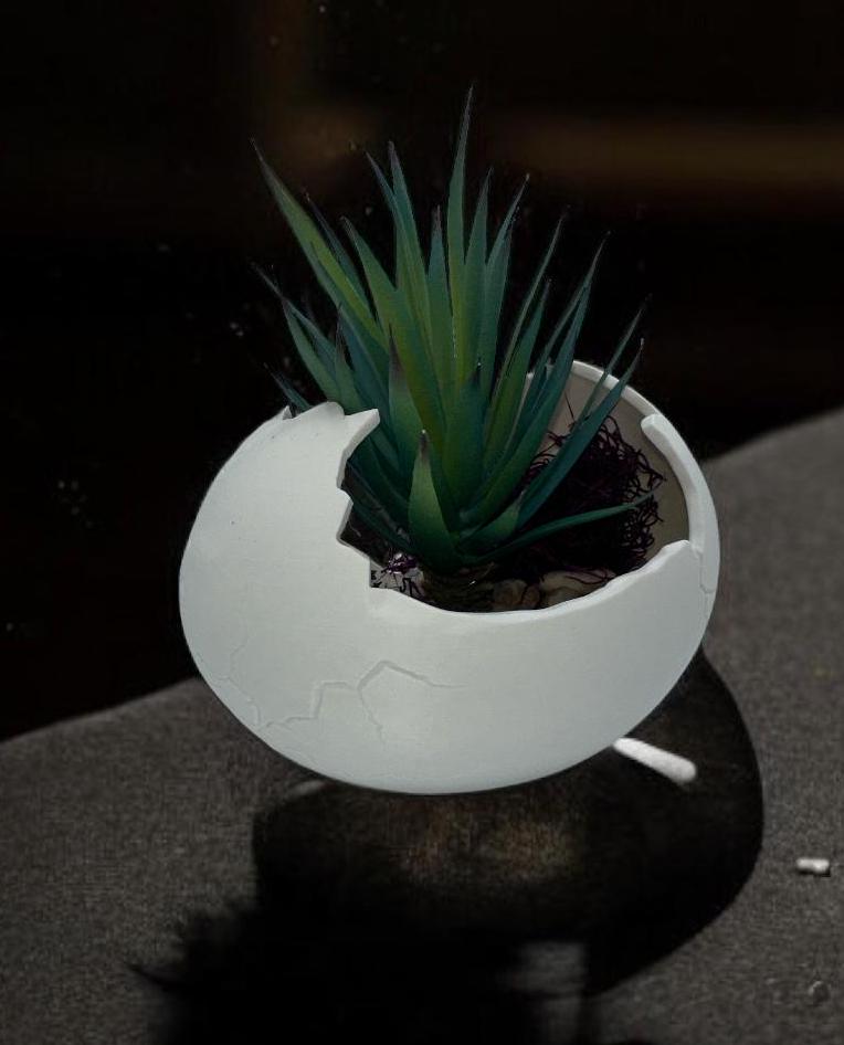 Eggshell Planter in multiple colors – cracked egg sculptural succulent pot