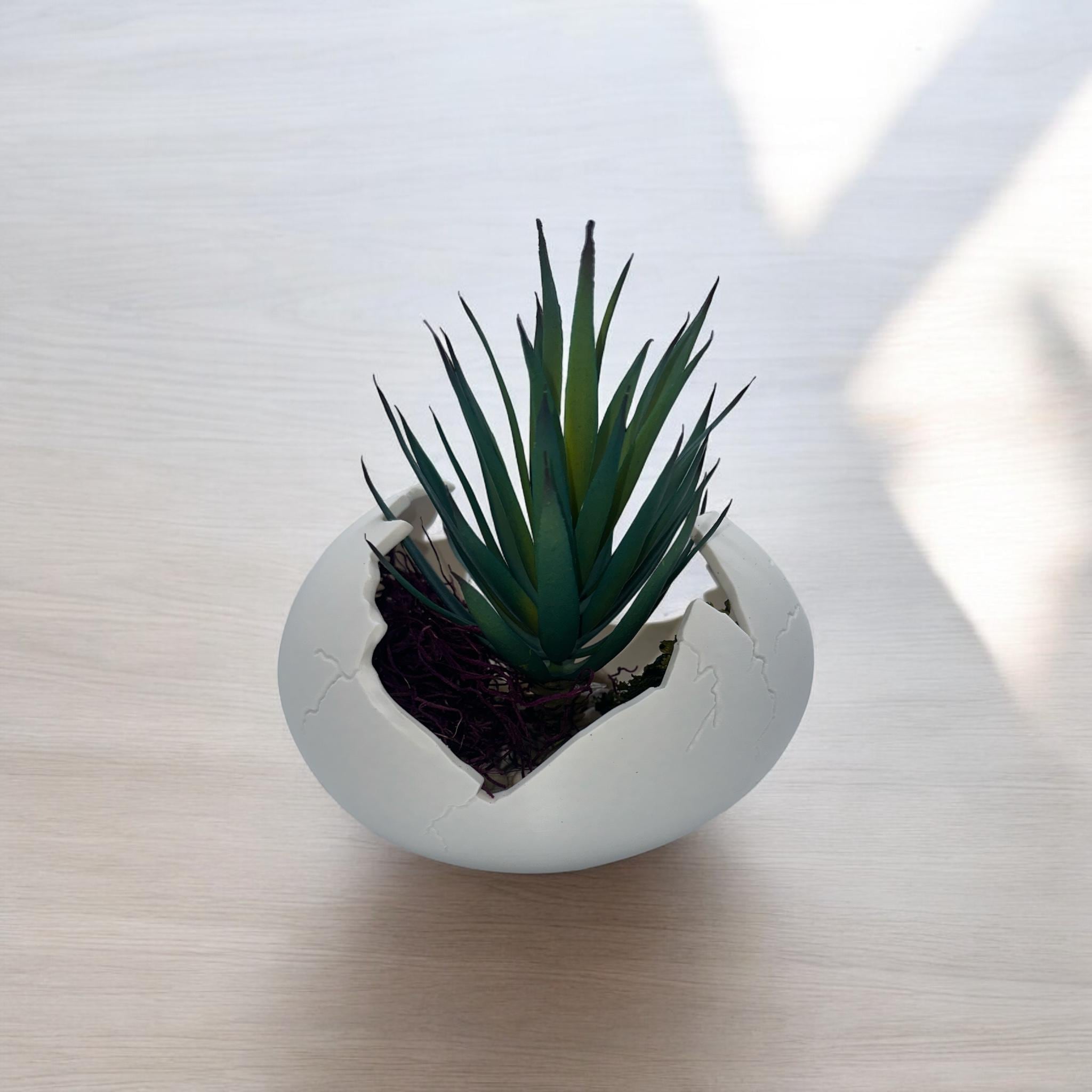 Eggshell Planter in multiple colors – cracked egg sculptural succulent pot