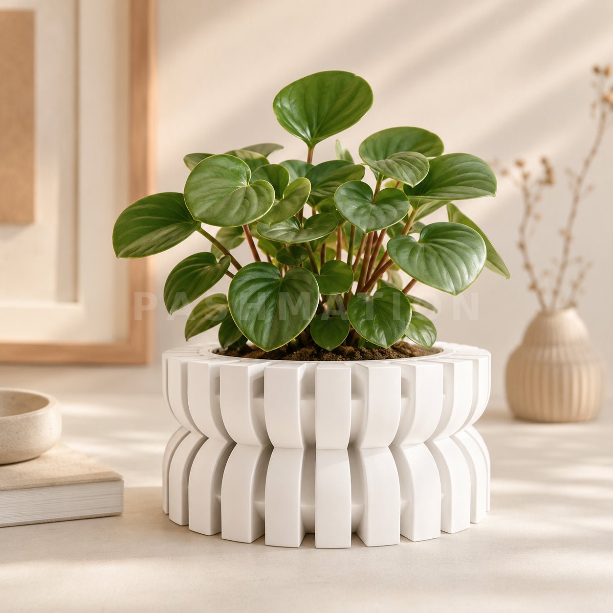 Modern Planter with Saucer | Griva by Pashmation