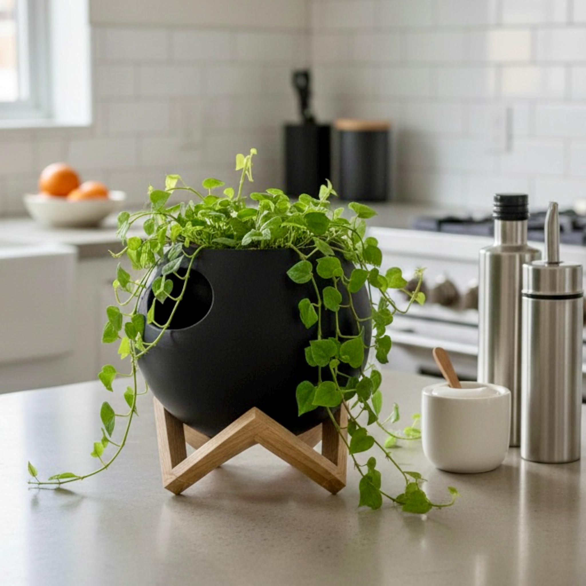 Dark Red Self-Watering Sphere Planter on wood surface – modern sphere-form pot with side opening