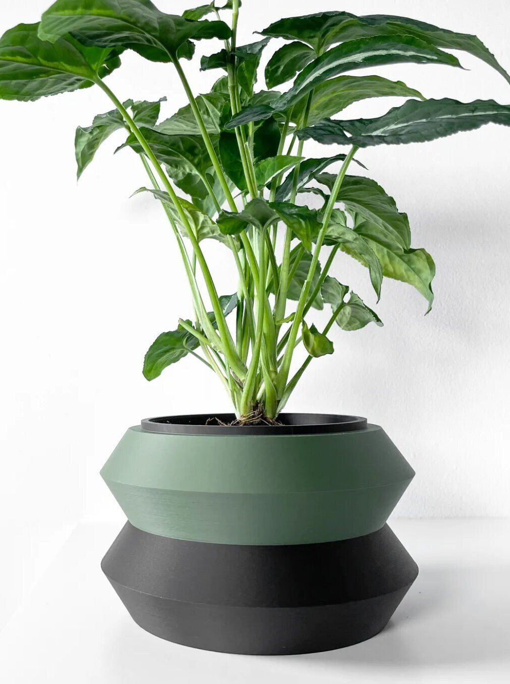 Modern Tiered Planter – Two - Tone Plant Pot, Houseplant Decor - Pashmation
