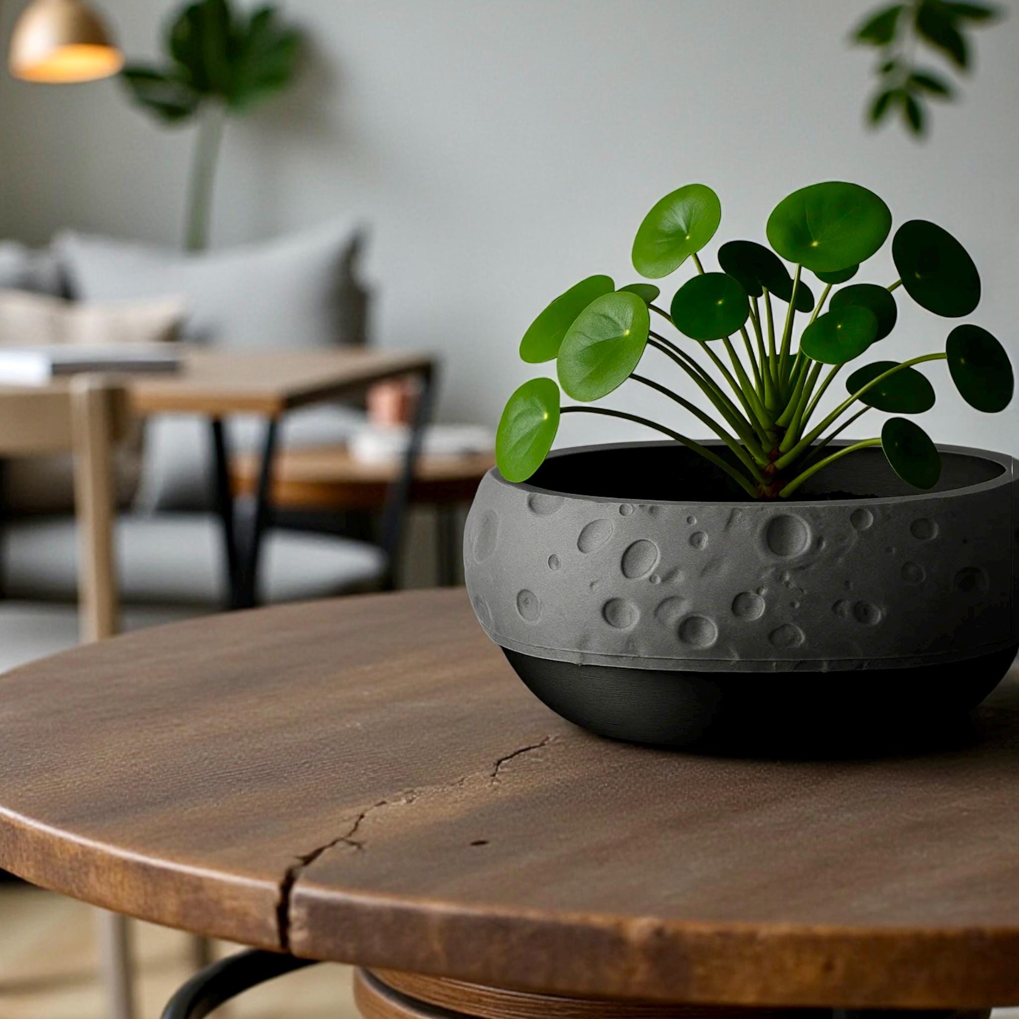 Moon Terrain Modern Planter 10in Wide Desktop Succulent Bowl Lunar Decor Indoor Pot Office Gift - Pashmation