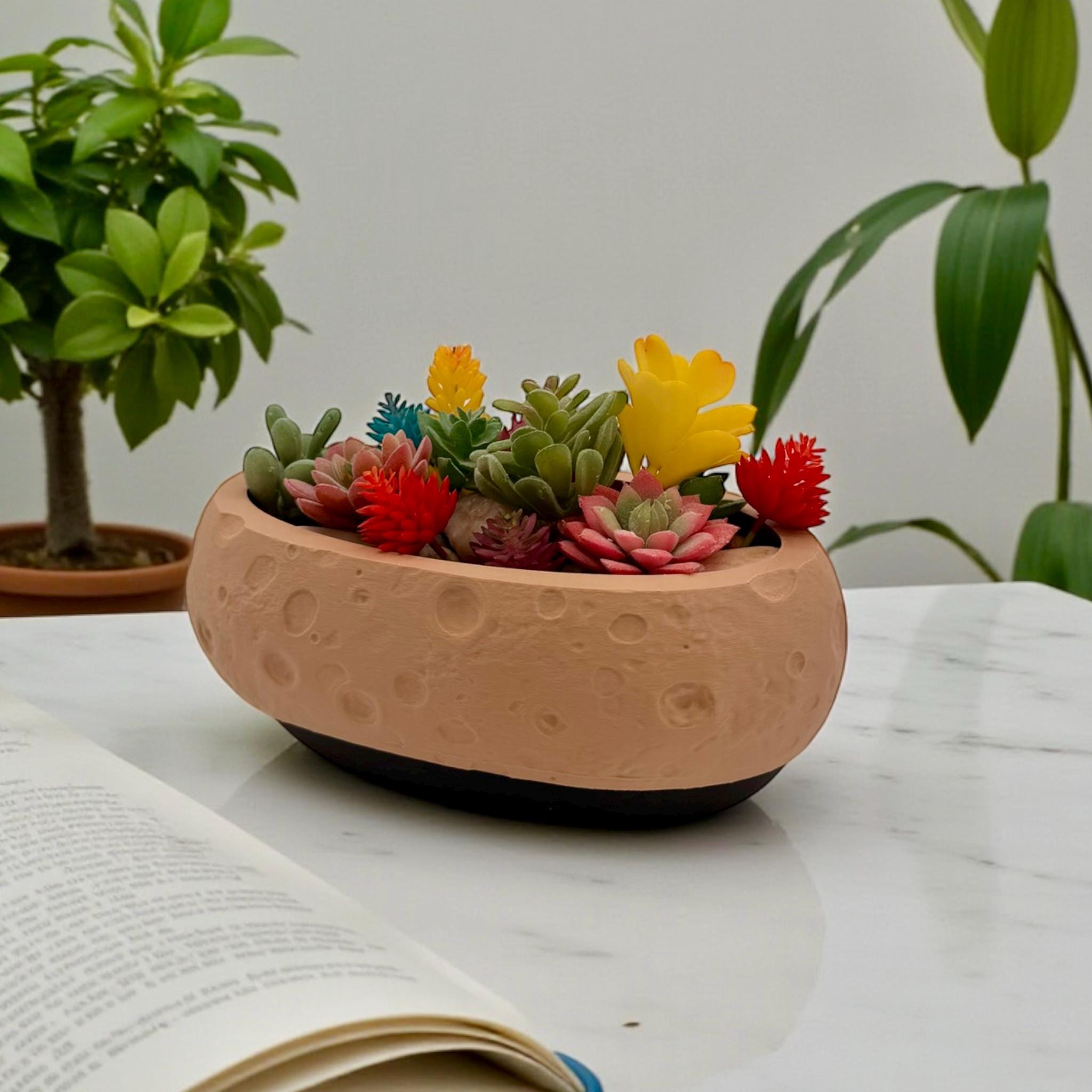 Moon Terrain Modern Planter 10in Wide Desktop Succulent Bowl Lunar Decor Indoor Pot Office Gift - Pashmation