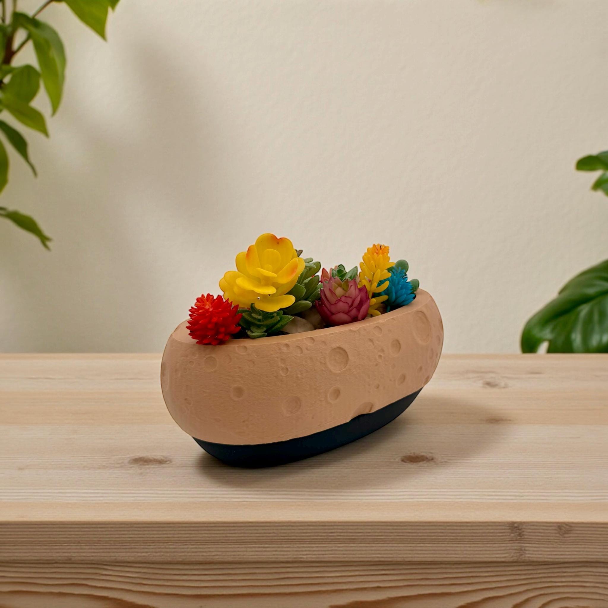 Moon Terrain Modern Planter 10in Wide Desktop Succulent Bowl Lunar Decor Indoor Pot Office Gift - Pashmation