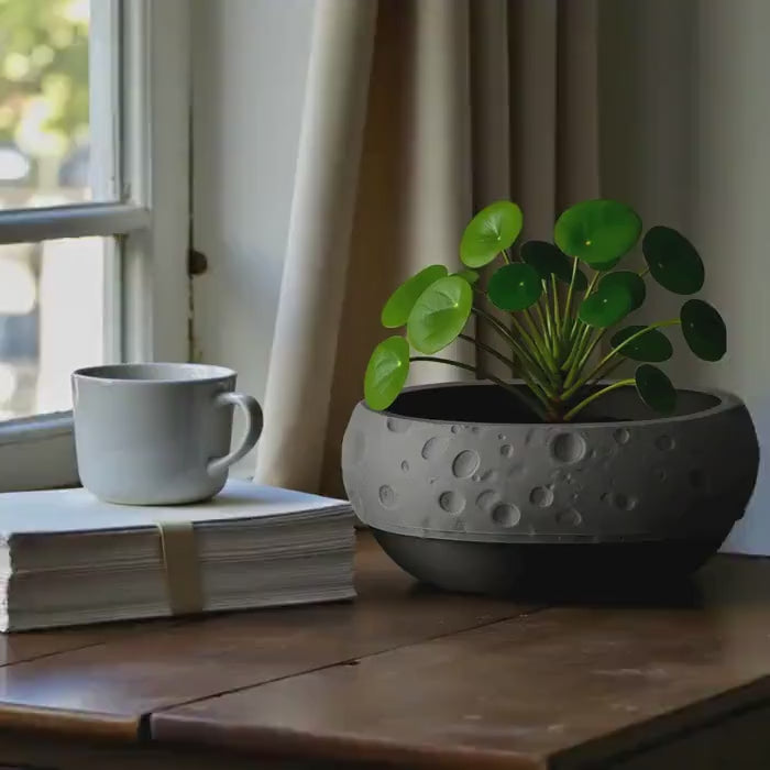 Moon Terrain Modern Planter 10in Wide Desktop Succulent Bowl Lunar Decor Indoor Pot Office Gift