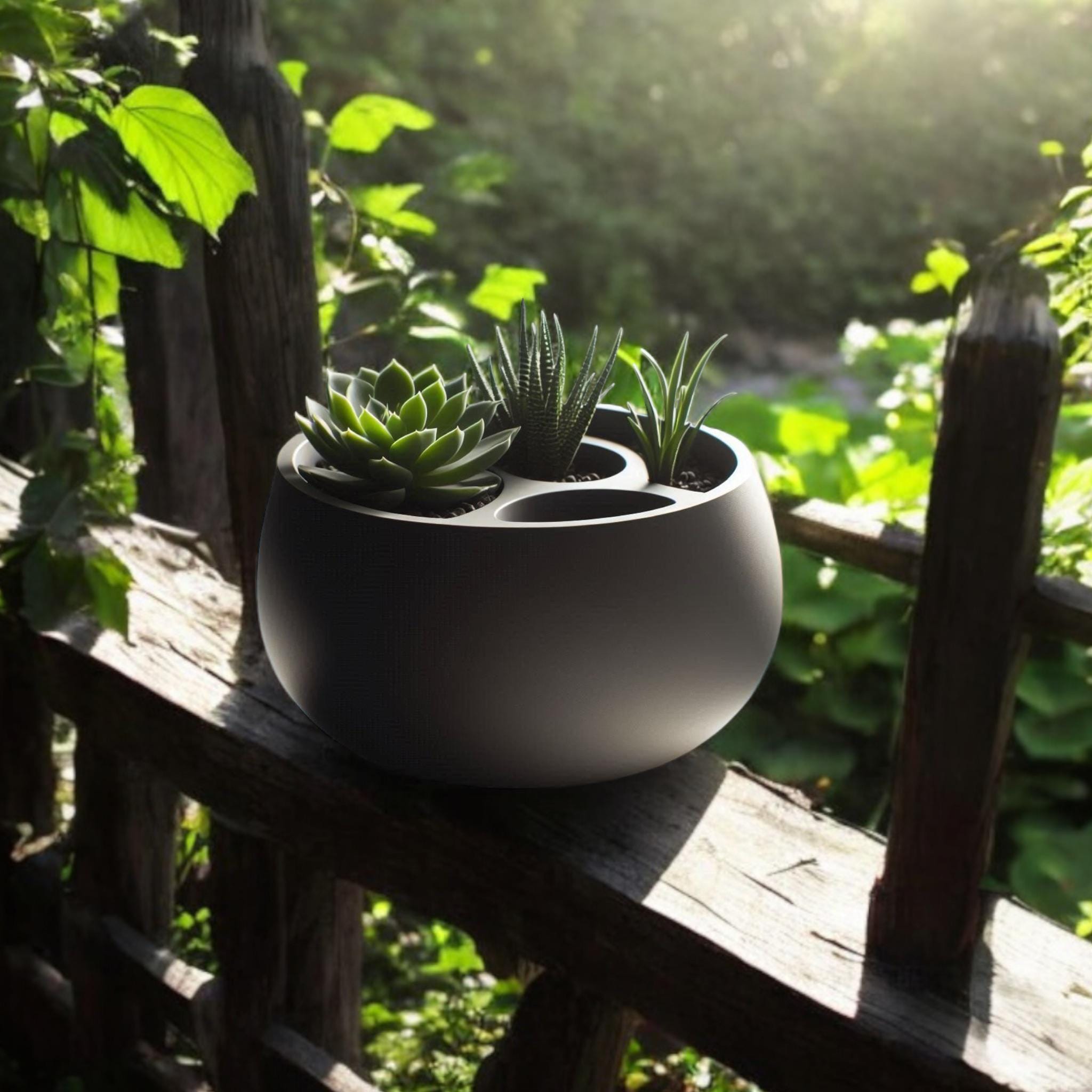 Black Multi-Plant Self-Watering Planter on windowsill with succulents – 3-section indoor pot