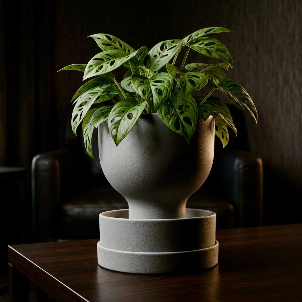 Grey self-watering planter with modern reservoir design by Pashmation